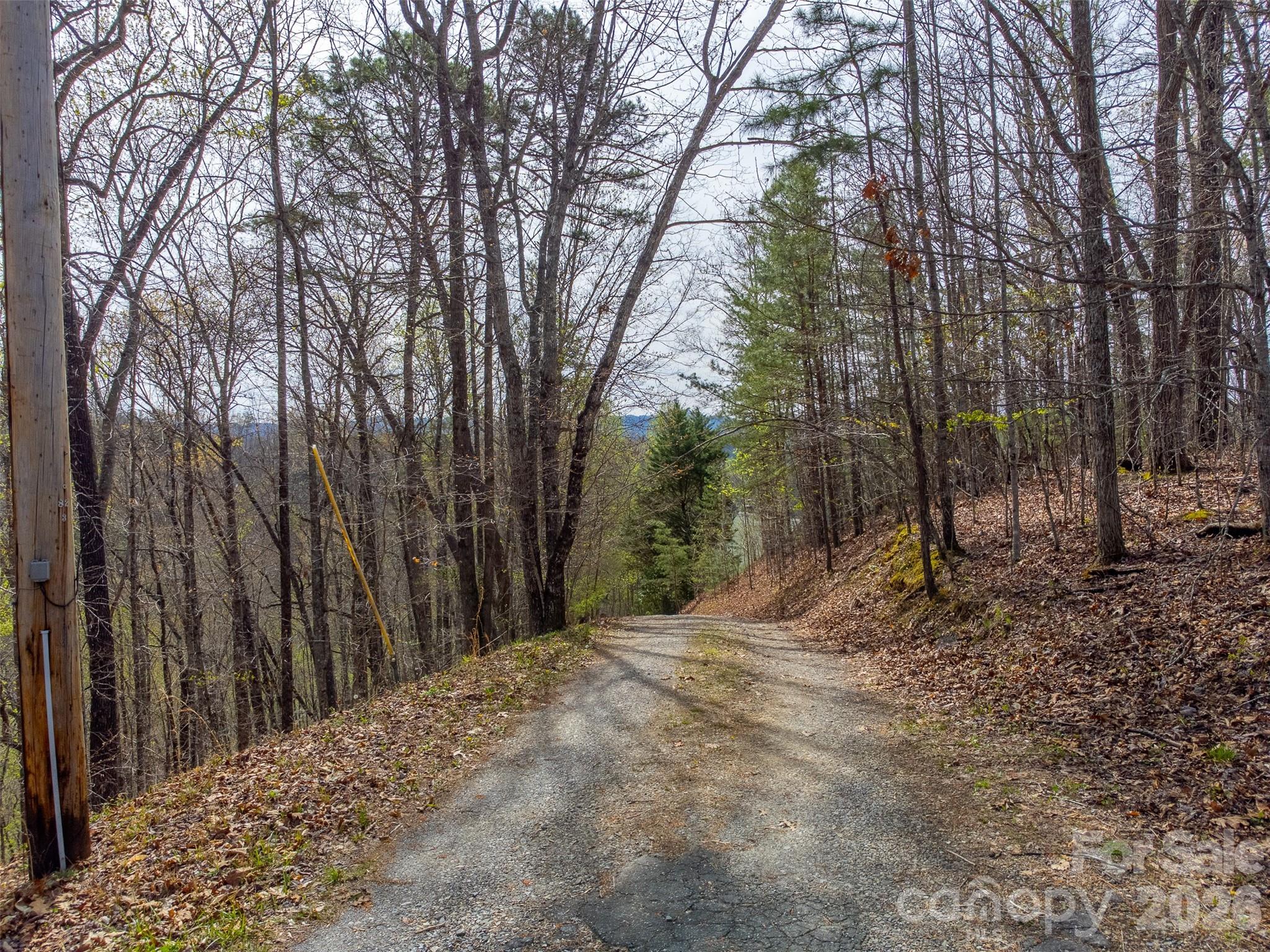 183 Ridge Place Bryson City, NC 28713 - Photo 34 of 44 a view of a backyard of trees
