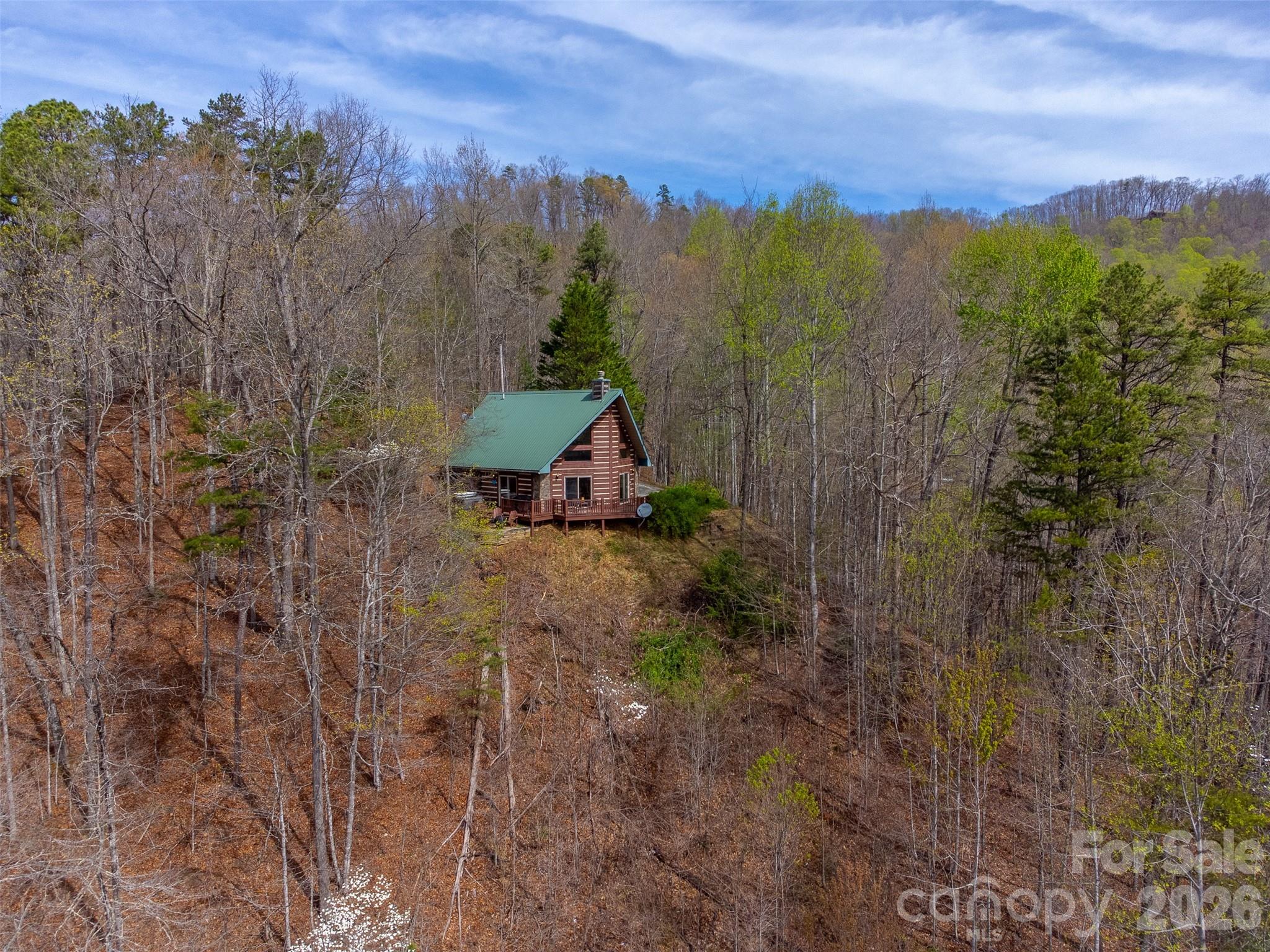 183 Ridge Place Bryson City, NC 28713 - Photo 41 of 44 a view of a forest with a forest