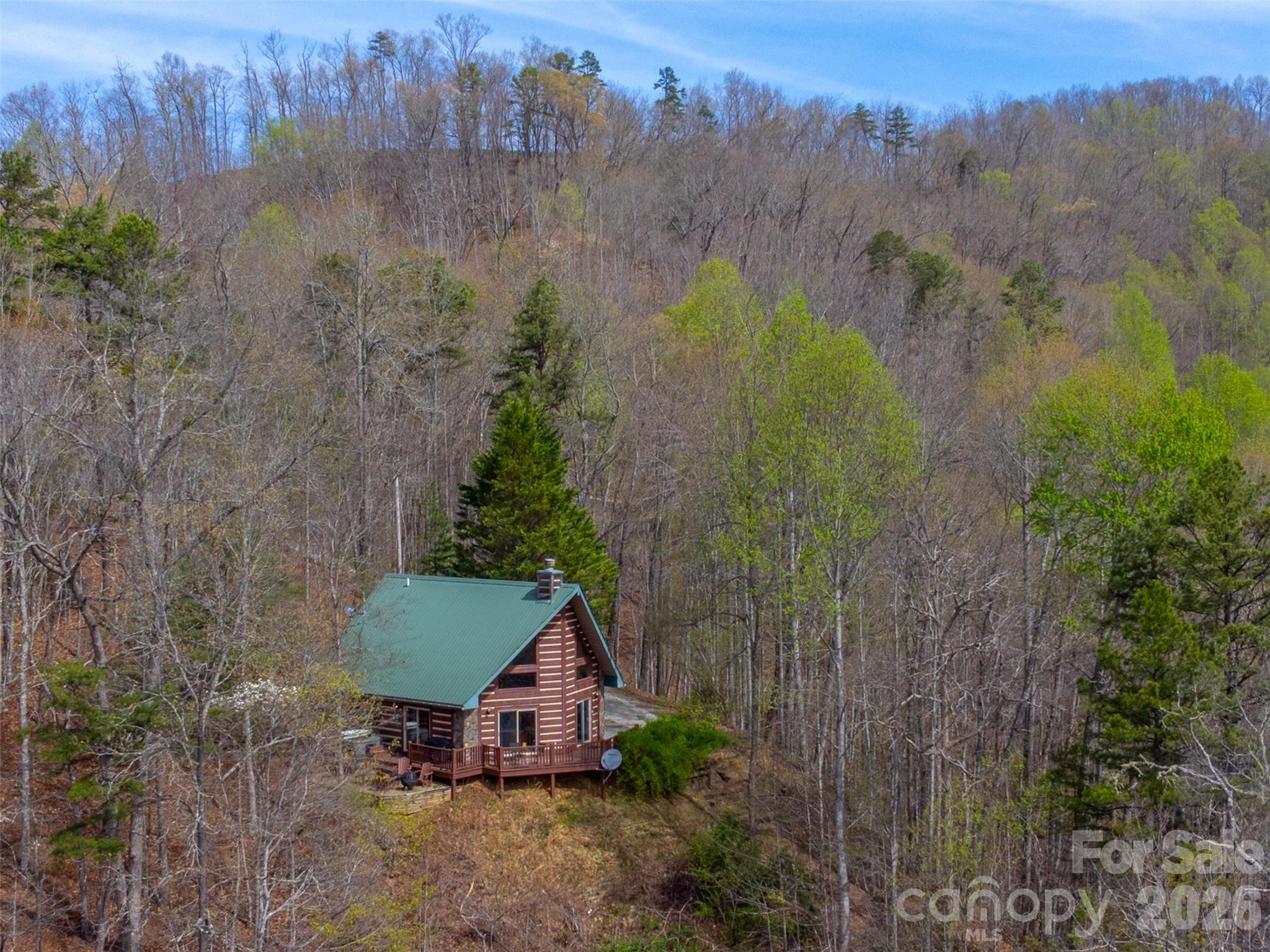 183 Ridge Place Bryson City, NC 28713 - Photo 42 of 44 a view of a house with a yard and a forest