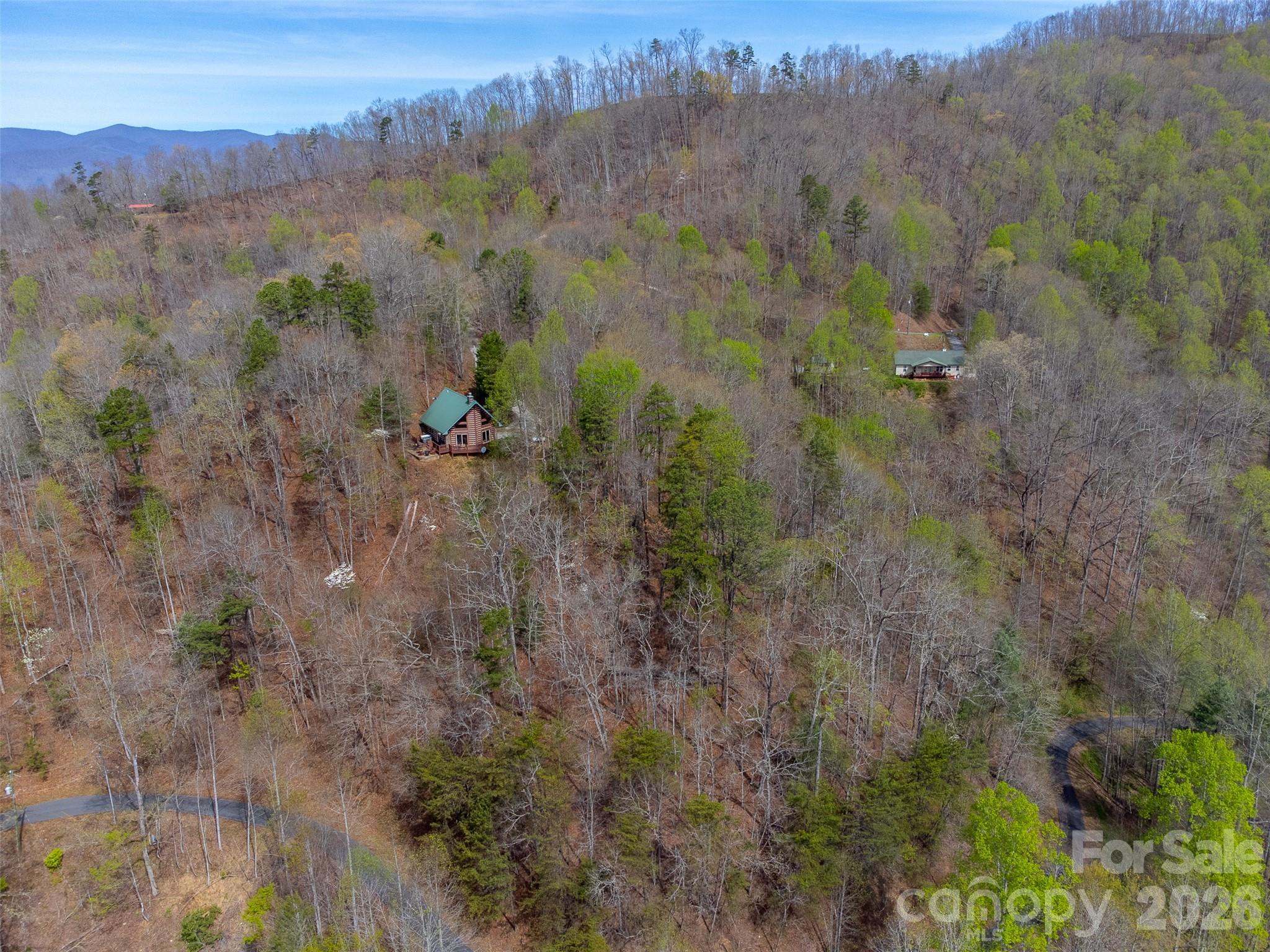 183 Ridge Place Bryson City, NC 28713 - Photo 43 of 44 a view of a yard with a tree