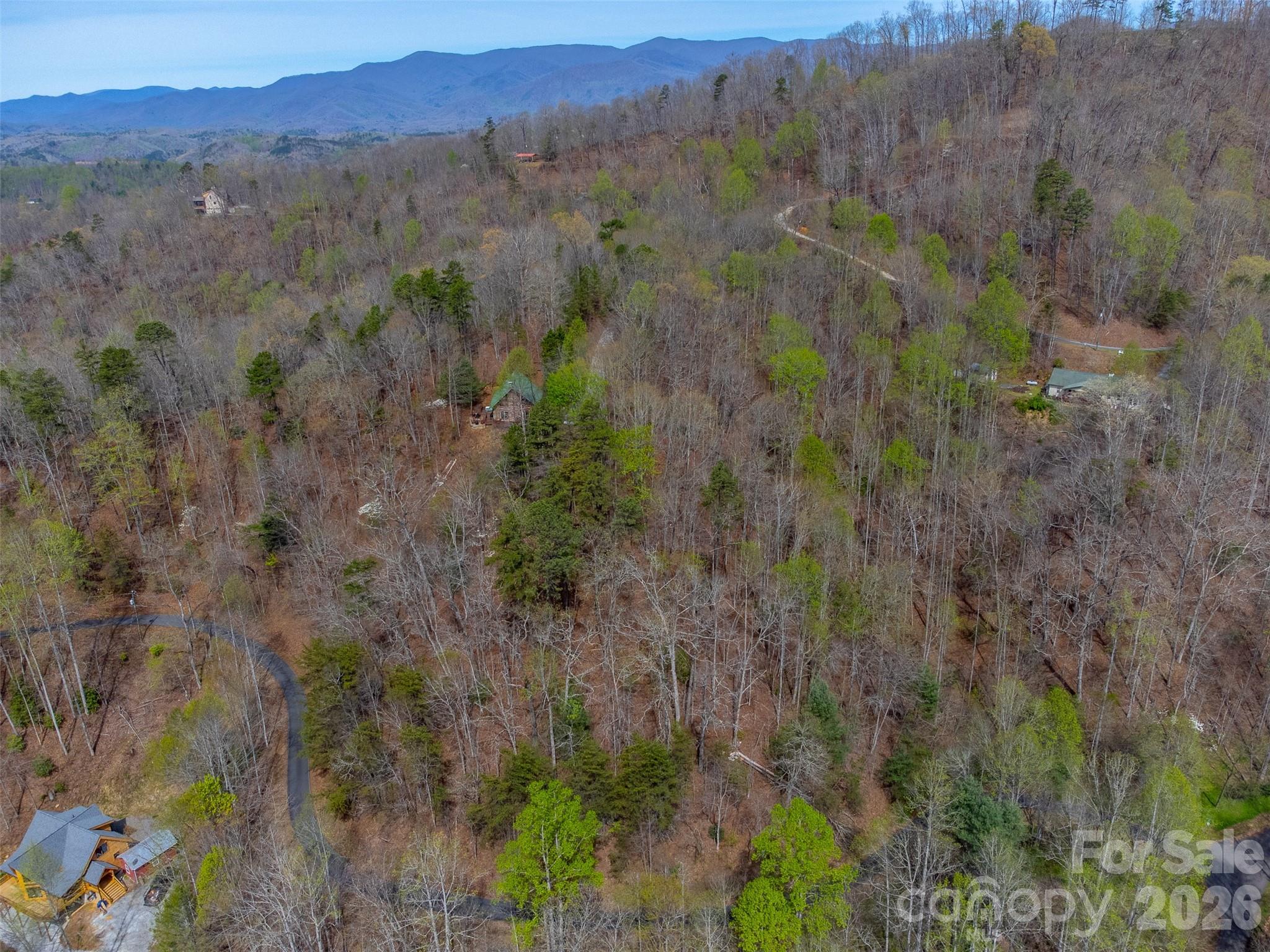 183 Ridge Place Bryson City, NC 28713 - Photo 44 of 44 a view of a lot of trees and bushes