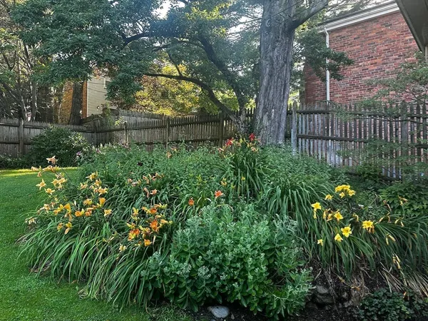 a view of a yard