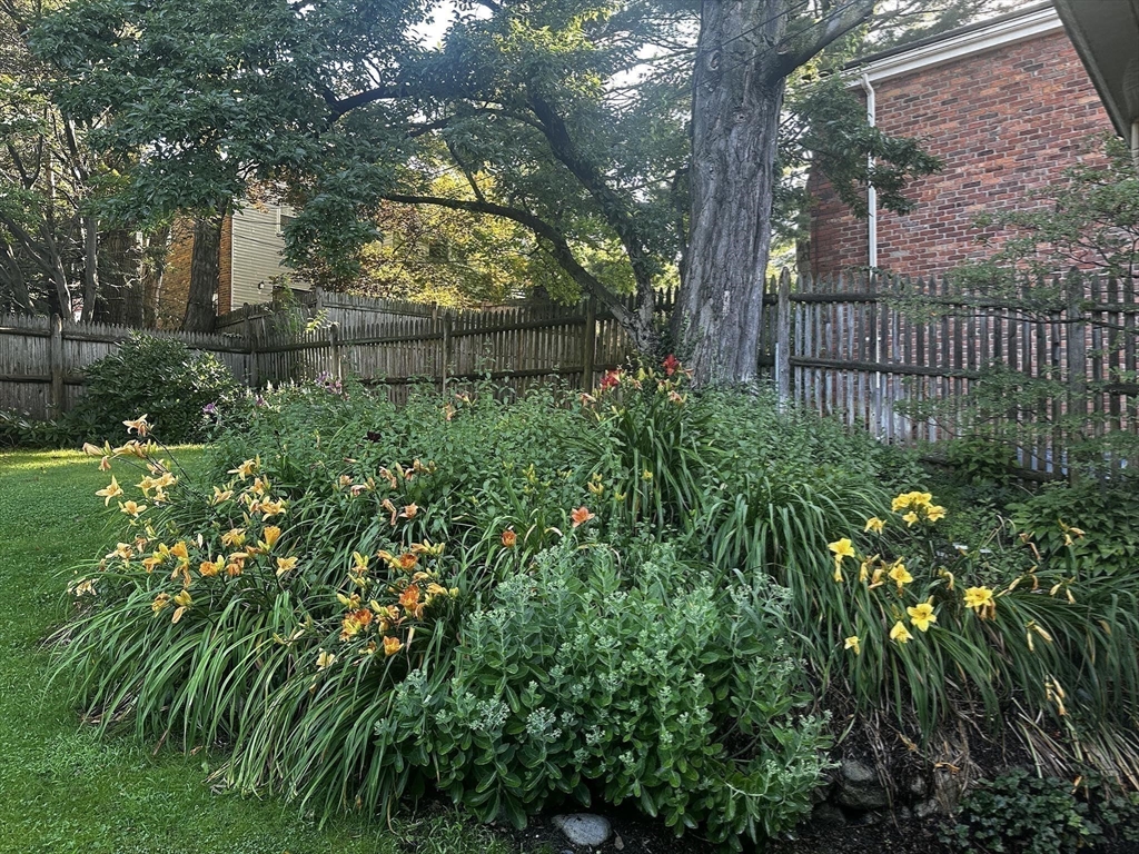 11 Kent Square Brookline, MA 02446 - Photo 11 of 12