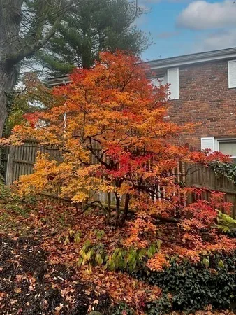 $1,375,000 | 11 Kent Square, Brookline, MA 02446