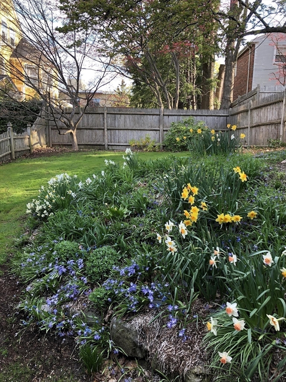 11 Kent Square Brookline, MA 02446 - Photo 9 of 12