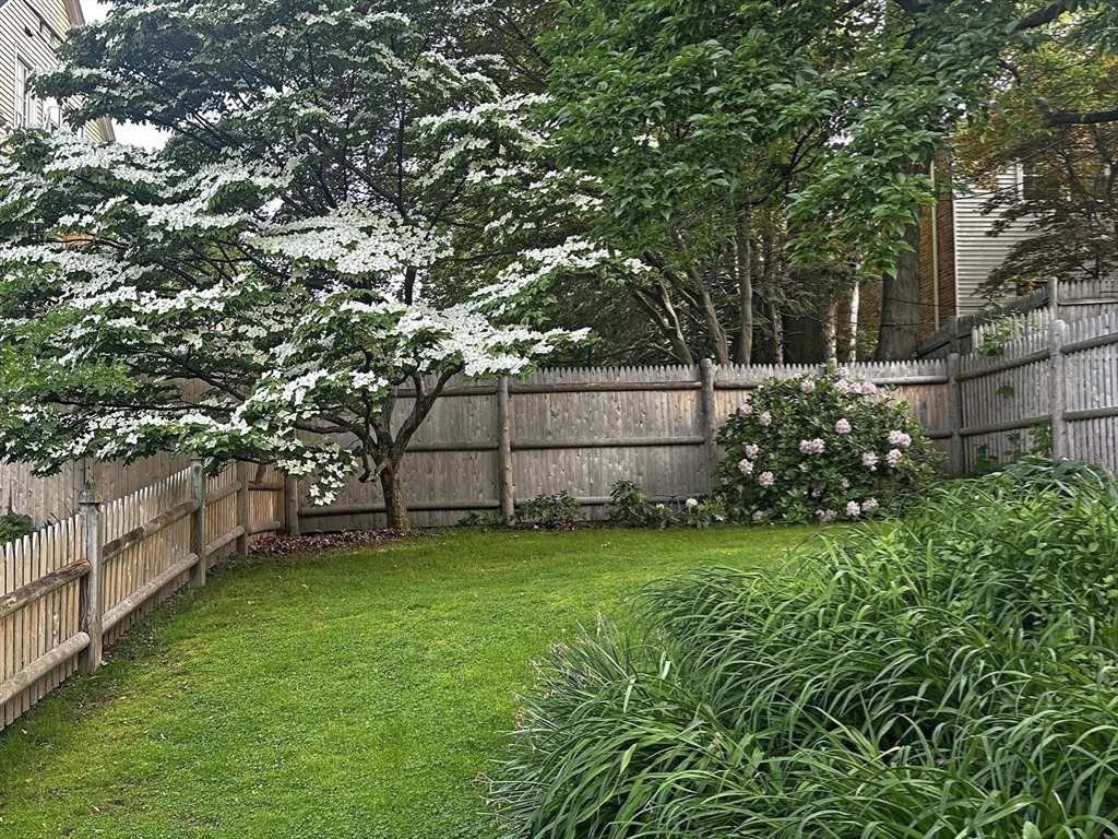 11 Kent Square Brookline, MA 02446 - Photo 10 of 12