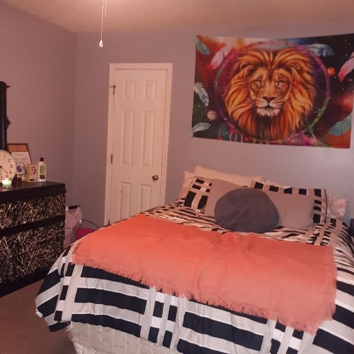 120 Pearman Road Belton, SC 29627 - Photo 23 of 25