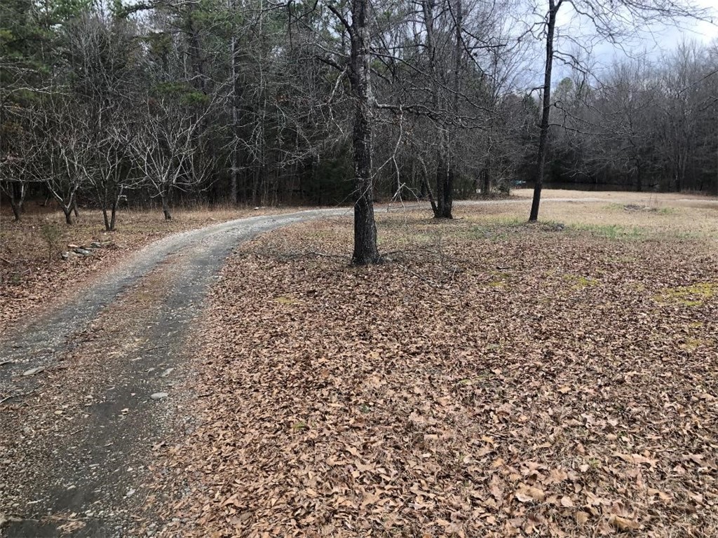 120 Pearman Road Belton, SC 29627 - Photo 4 of 25
