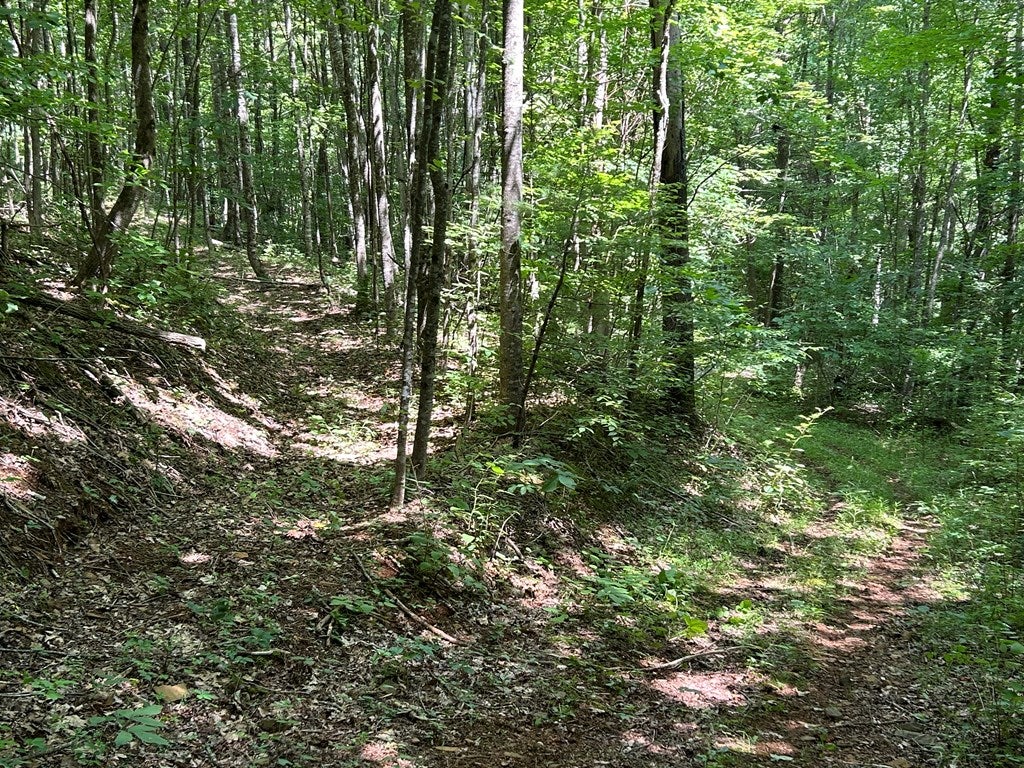 Tbd Laurel Fork Road, Unit 52A Dugspur, VA 24325 - Photo 13 of 15 Gallery Image 13