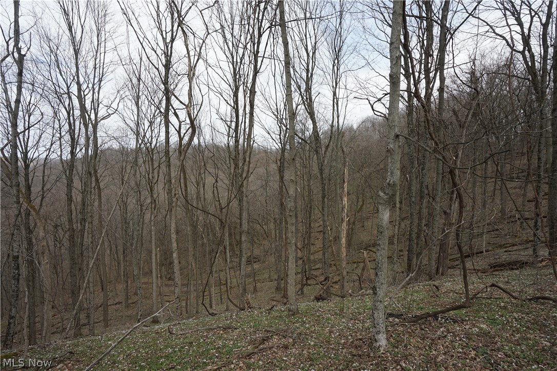 56835 Stephens Road Jacobsburg, OH 43933 - Photo 29 of 50