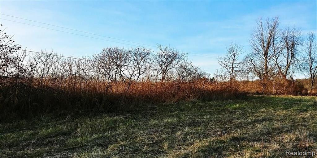 0 Havens Road Dryden, MI 48428 - Photo 3 of 4