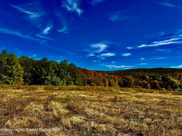 a view of a yard with an tree