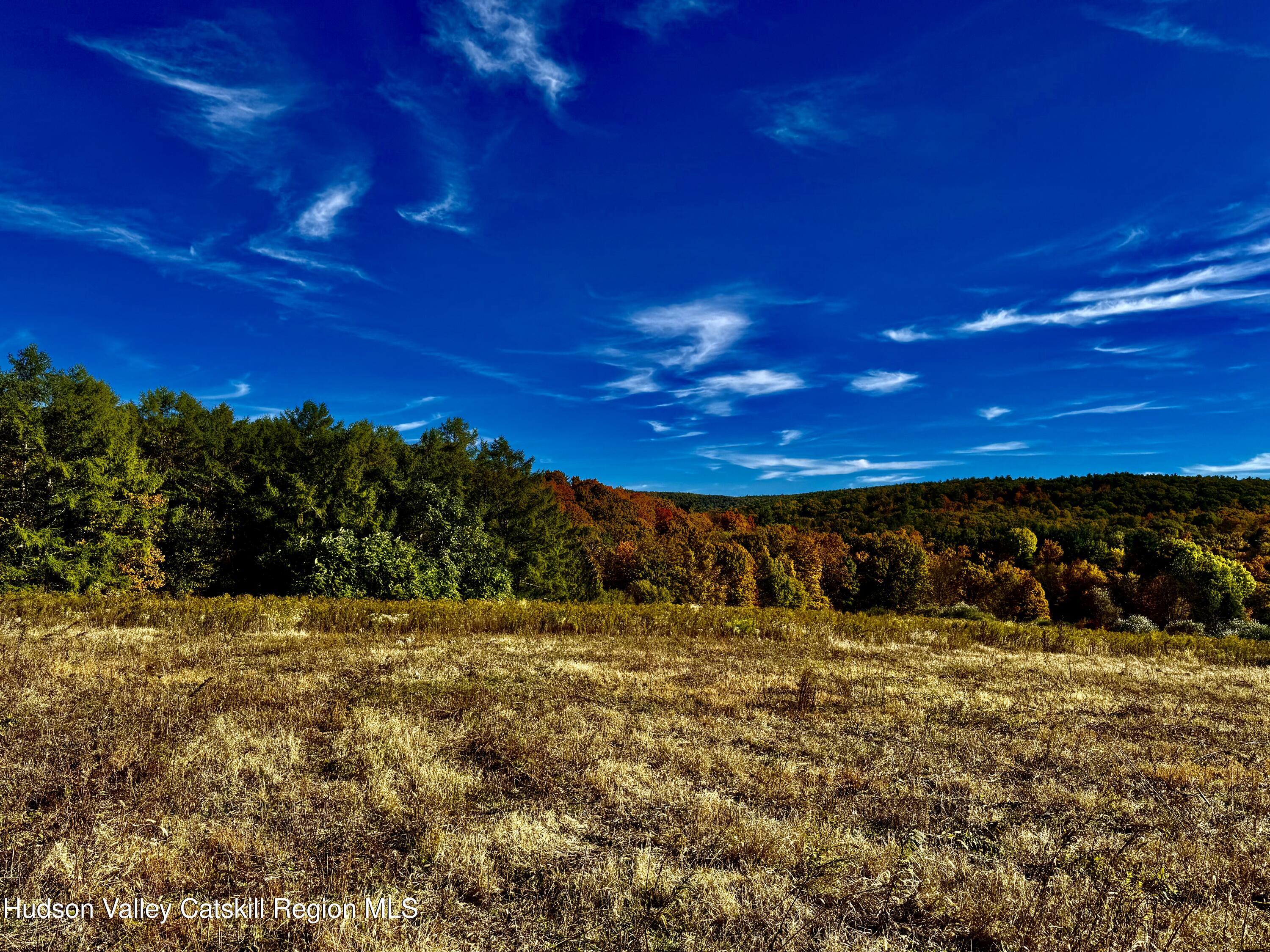 114 Old Barrington Road Hudson, NY 12534 - Photo 15 of 30 a view of a yard with an tree