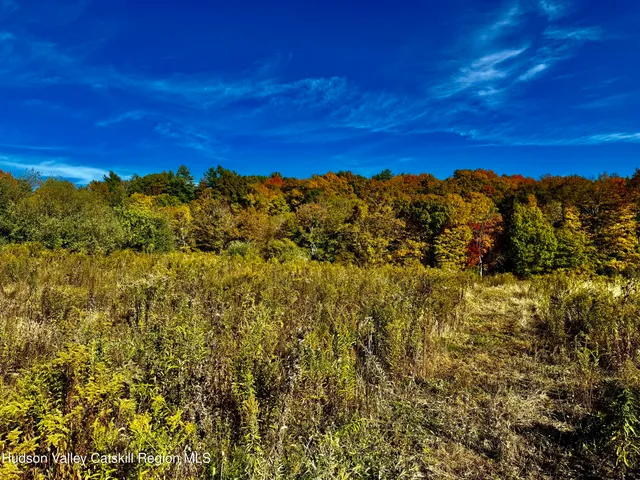 a view of a large building