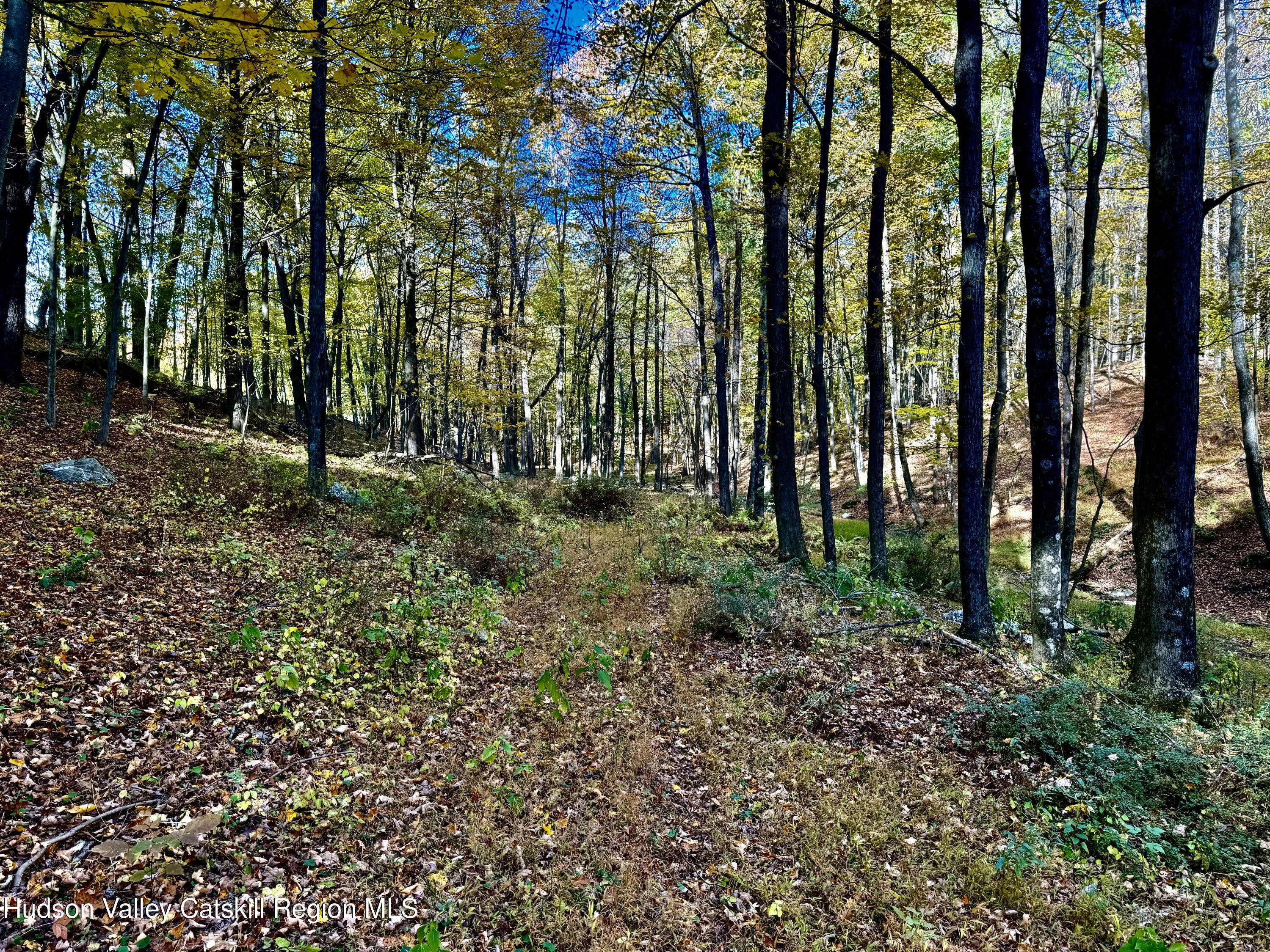 114 Old Barrington Road Hudson, NY 12534 - Photo 17 of 30 a big yard with lots of green space and plants