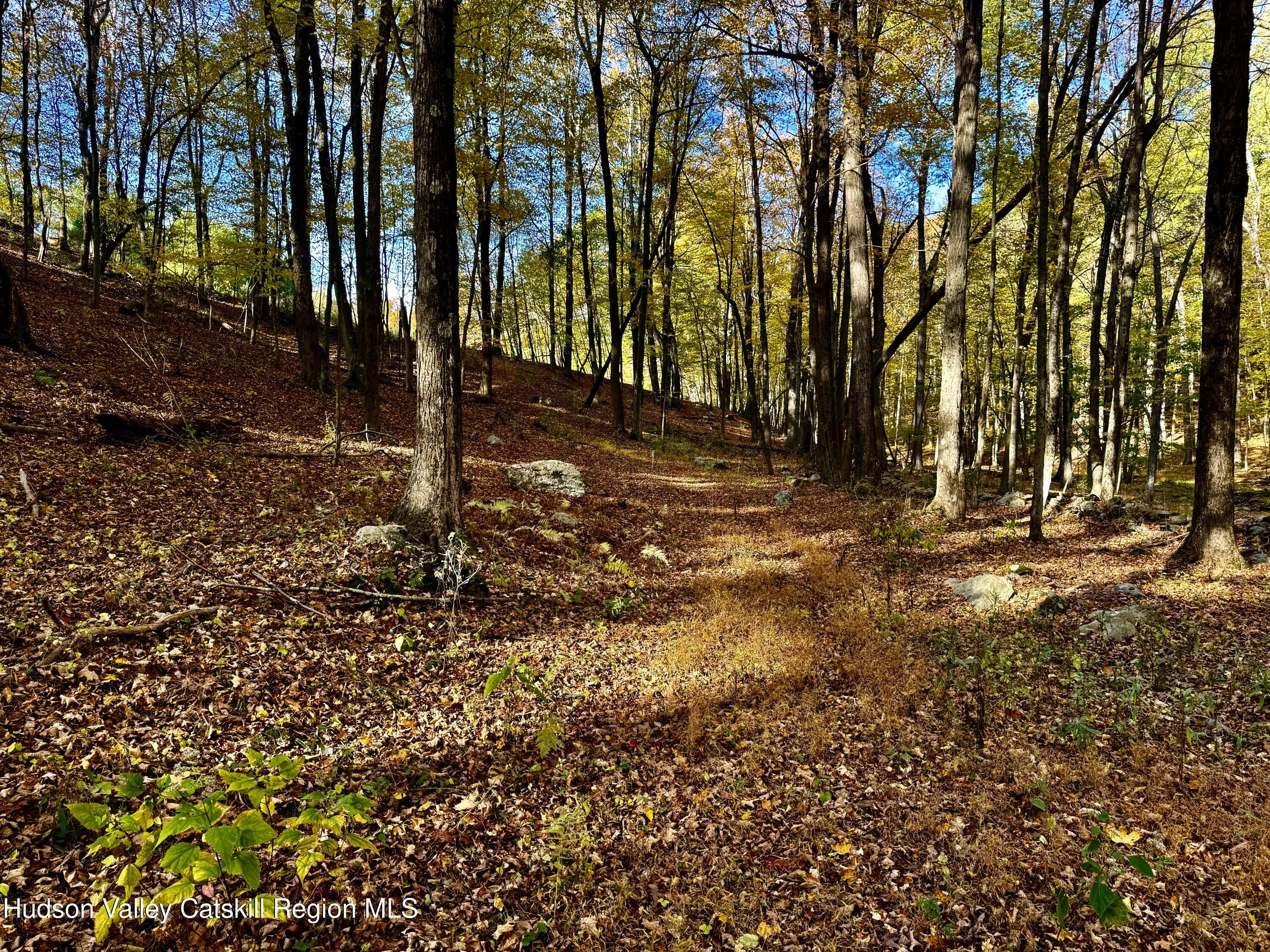 114 Old Barrington Road Hudson, NY 12534 - Photo 18 of 30 a view of yard