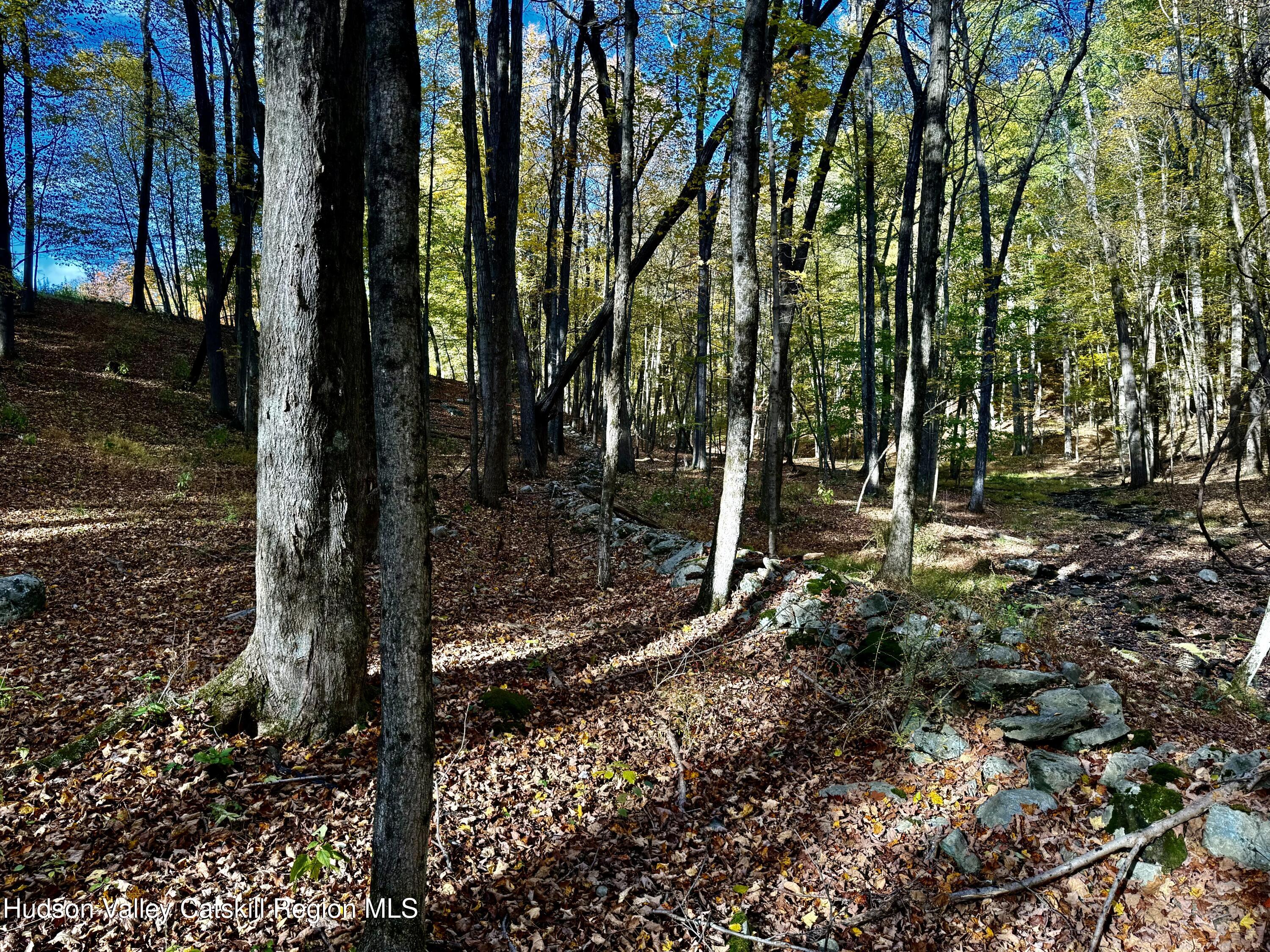 114 Old Barrington Road Hudson, NY 12534 - Photo 19 of 30 a view of a backyard