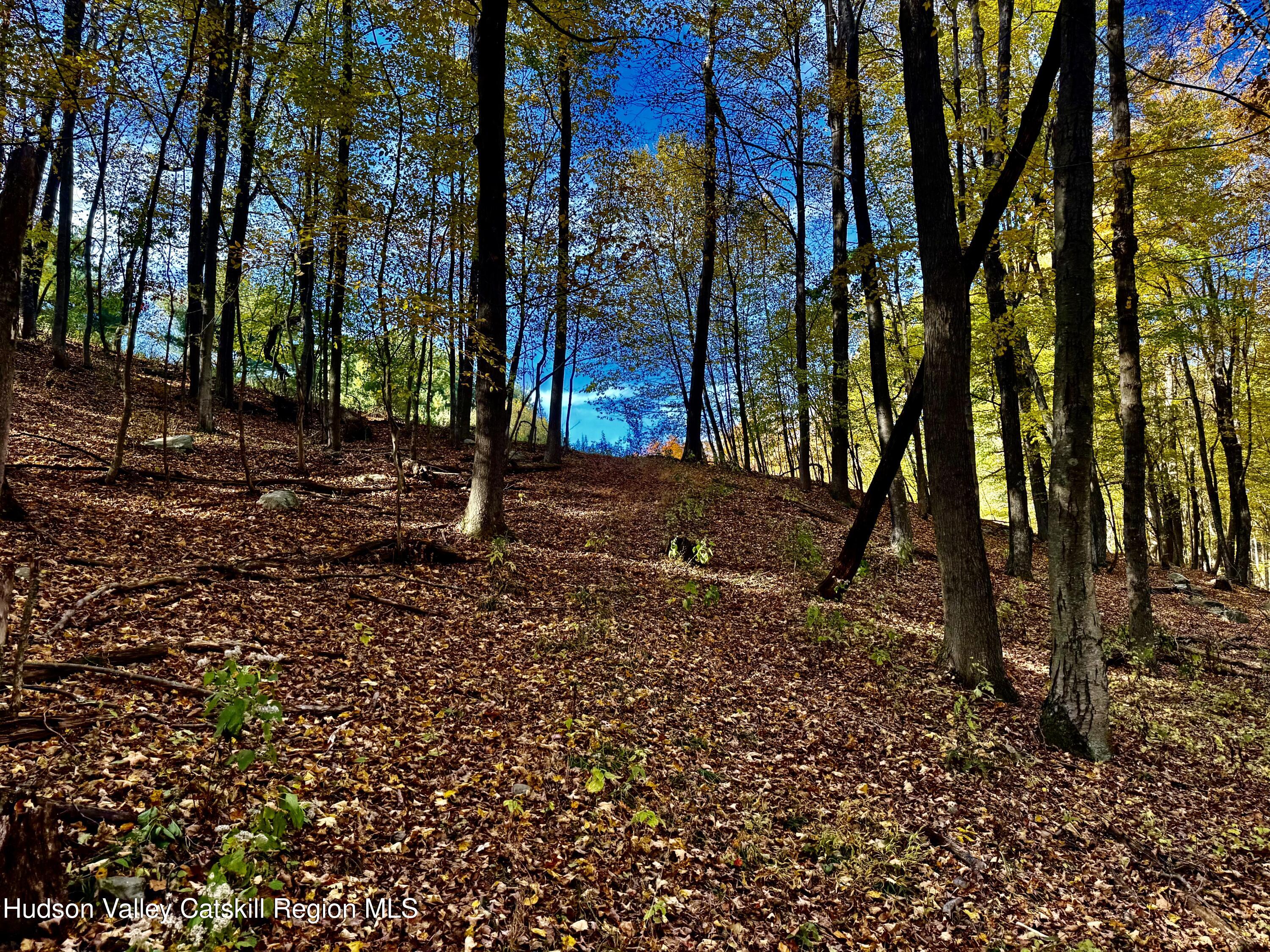 114 Old Barrington Road Hudson, NY 12534 - Photo 20 of 30 a backyard of a house with lots of green space