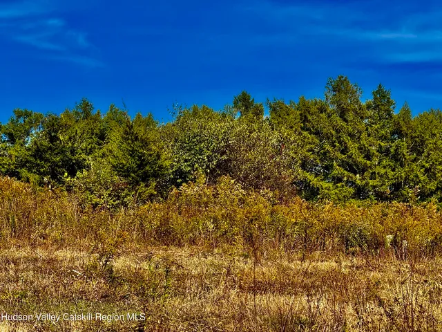 a view of a green field