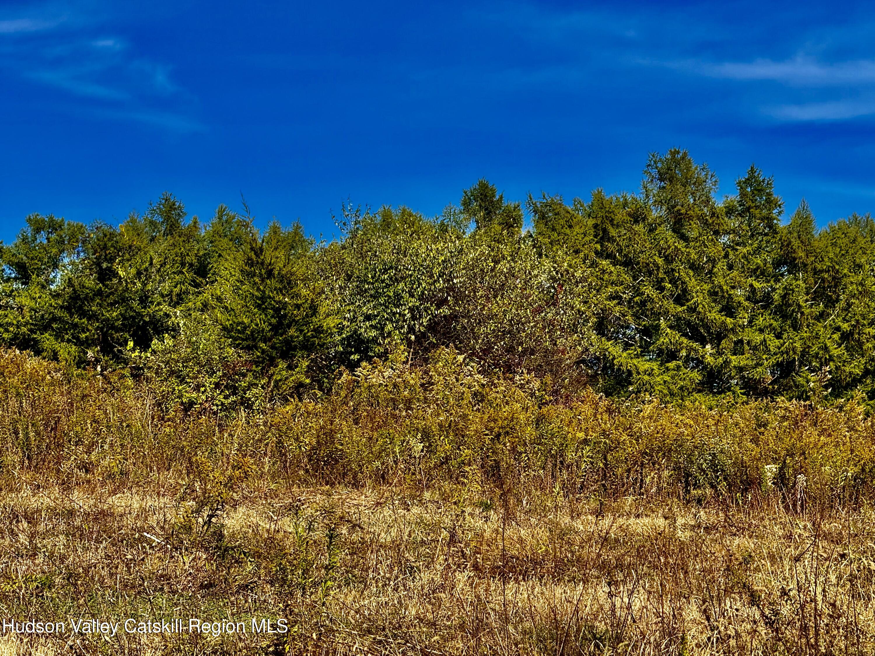 114 Old Barrington Road Hudson, NY 12534 - Photo 21 of 30 a view of a green field