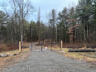 114 Old Barrington Road Hudson, NY 12534 - Photo 29 of 30 a backyard of a house with lots of green space