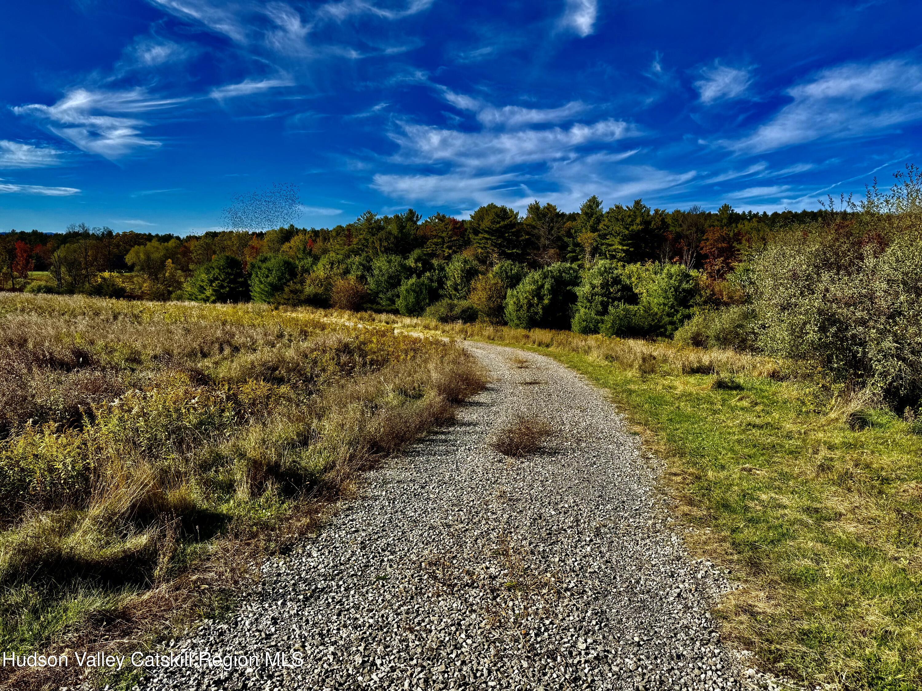 114 Old Barrington Road Hudson, NY 12534 - Photo 7 of 30 a view of a yard with an outdoor space