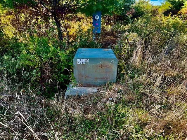 a view of outdoor space and covered with tall trees