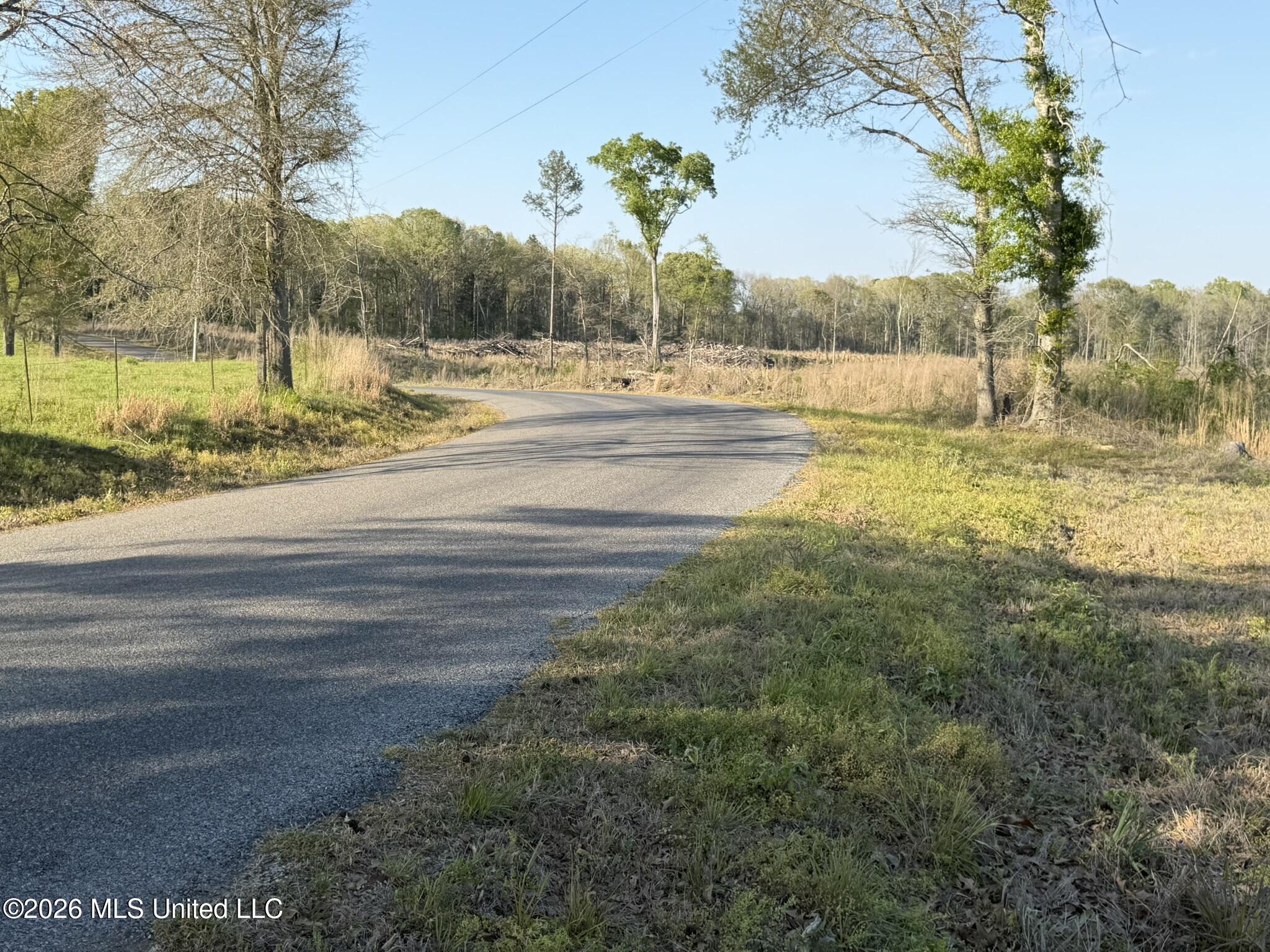 Owen Boone Road Brandon, MS 39042 - Photo 14 of 17 IMG_0650