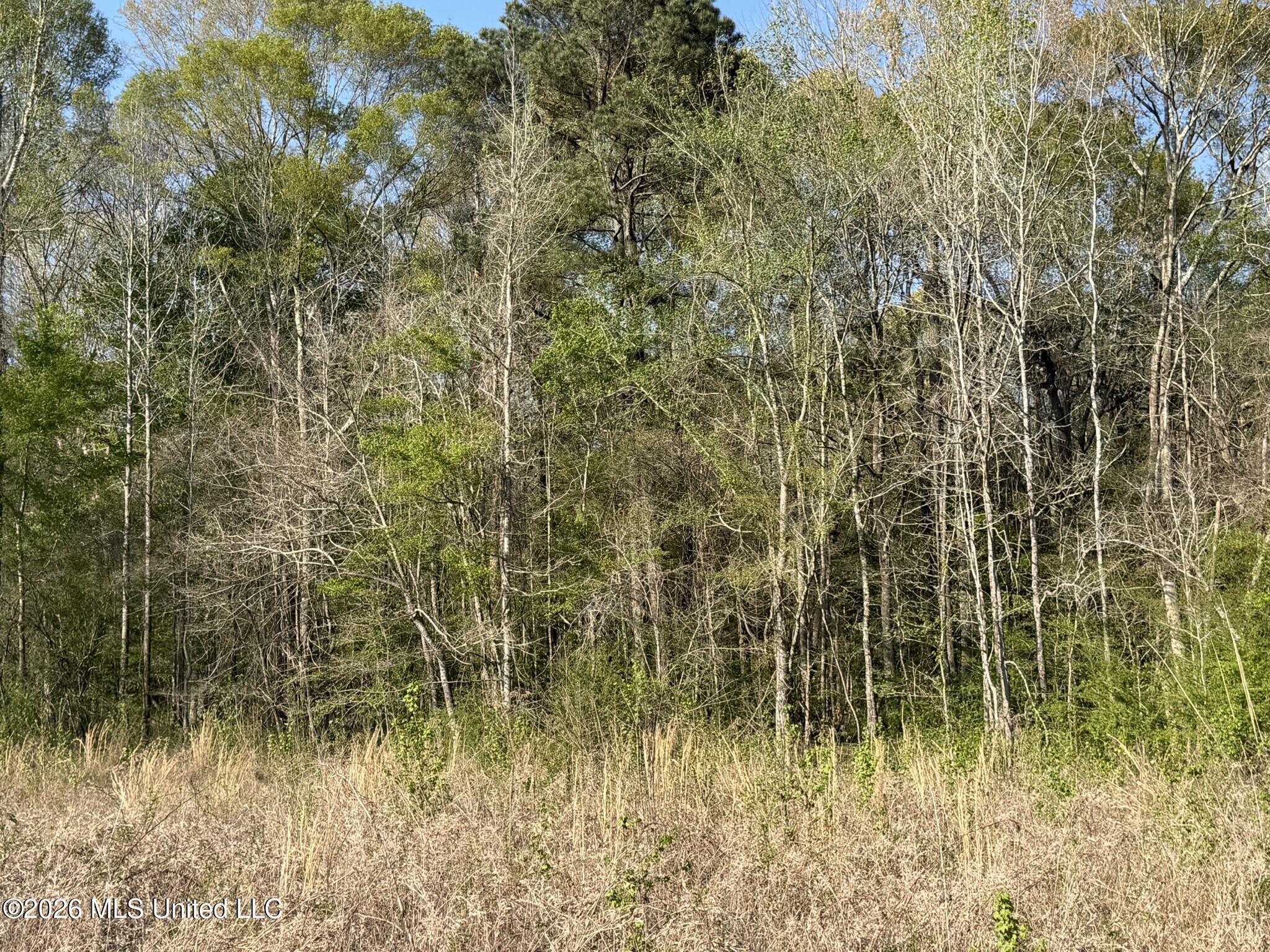 Owen Boone Road Brandon, MS 39042 - Photo 2 of 17 IMG_0638