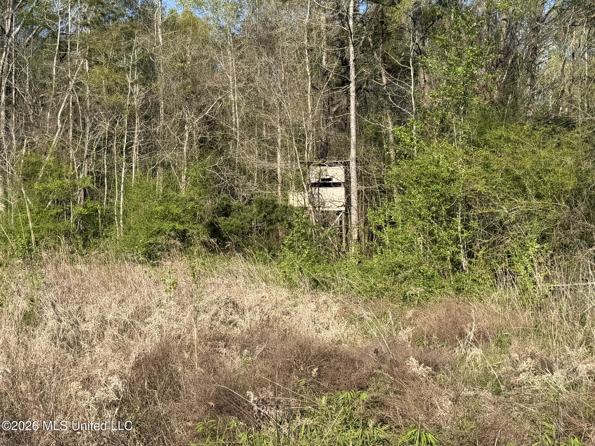 Owen Boone Road Brandon, MS 39042 - Photo 3 of 17 IMG_0639