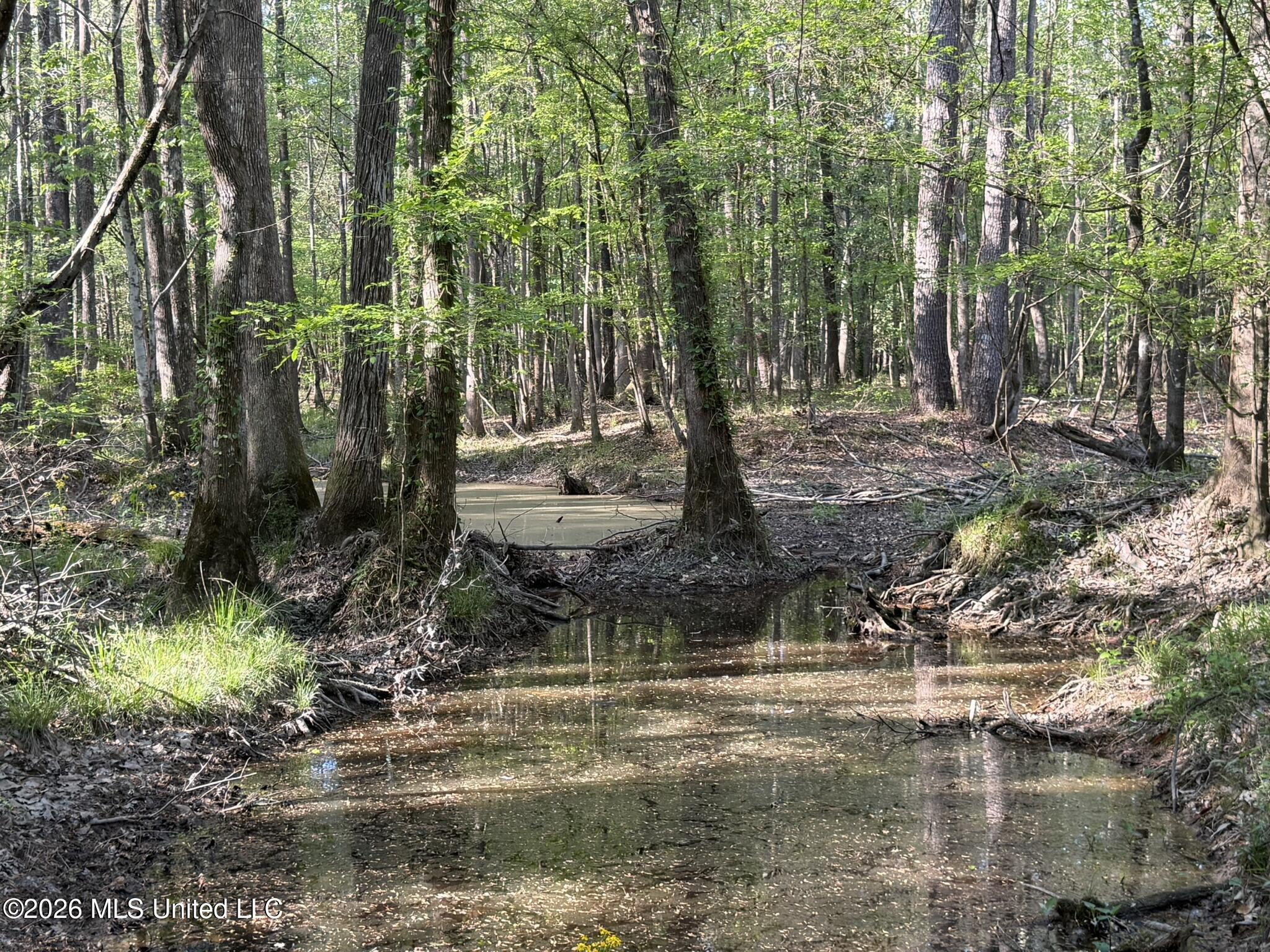 Owen Boone Road Brandon, MS 39042 - Photo 5 of 17 IMG_0641