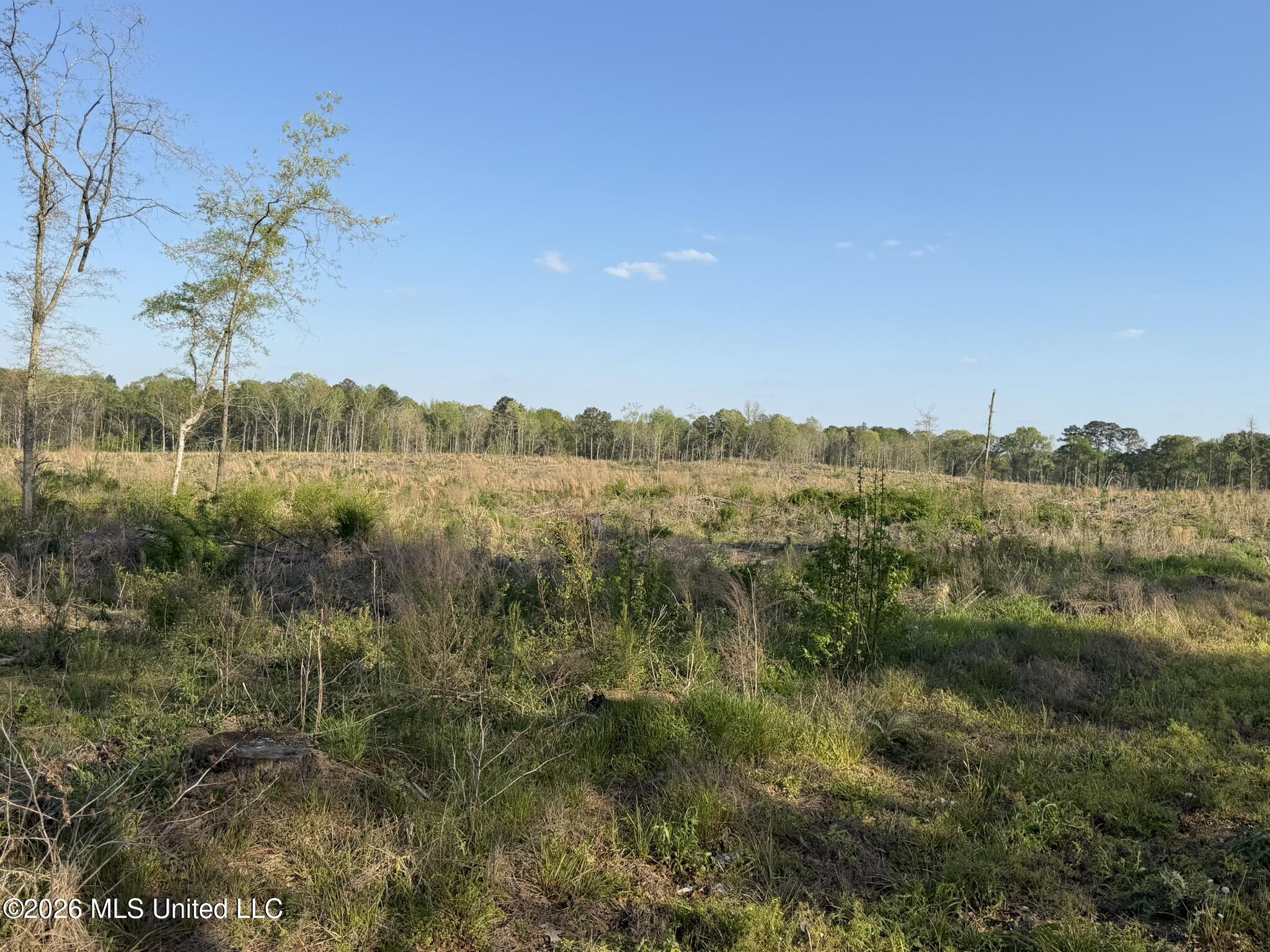 Owen Boone Road Brandon, MS 39042 - Photo 10 of 17 IMG_0646