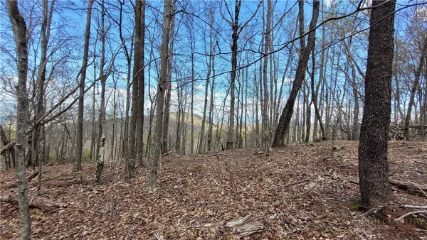 $25,000 | 123-126 West Blueberry Lane, Beech Mountain, NC 28604