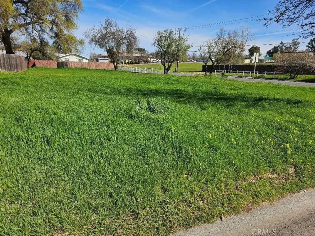 a view of grassy field with benches and trees all around