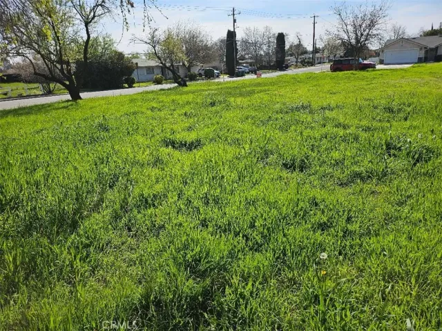 a view of a garden with houses