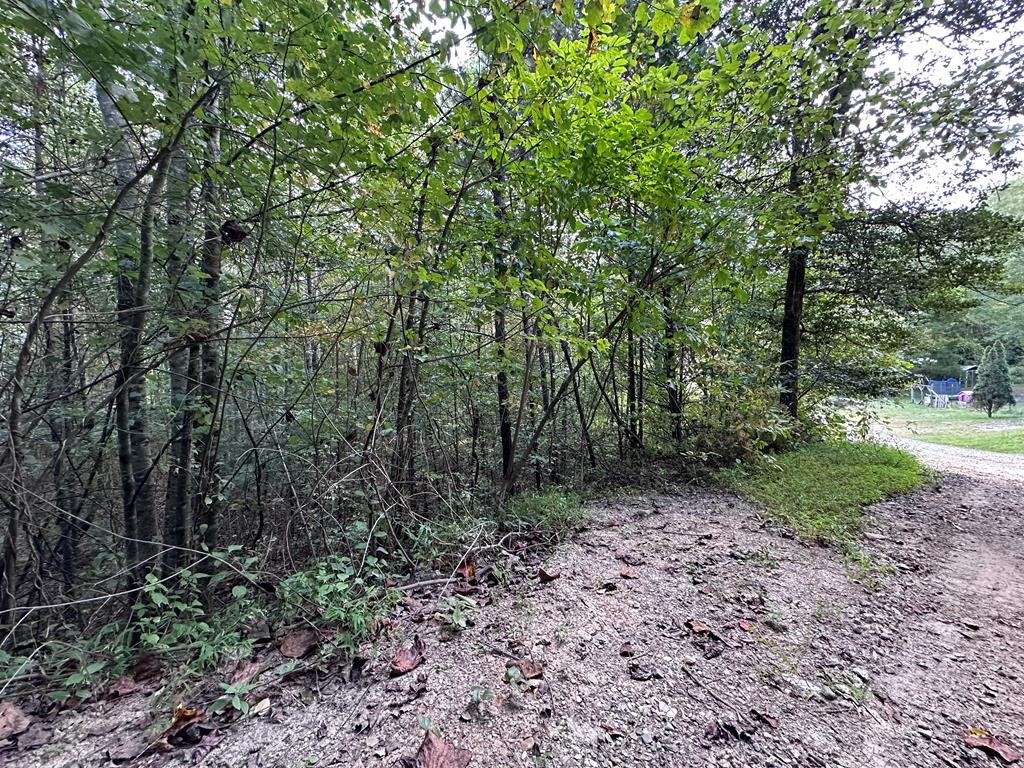 Tbd Ross Ridge Road Murphy, NC 28906 - Photo 1 of 13 Main View