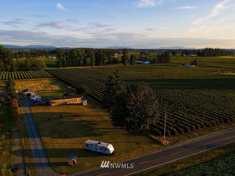 1769 Pangborn Road Lynden, WA 98264 - Photo 1 of 37 a view of a yard with an outdoor space
