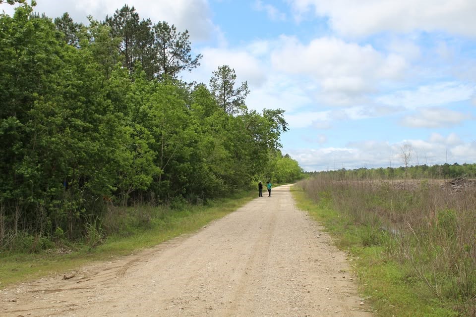 0 Gates Devers, TX 77538 - Photo 1 of 1
