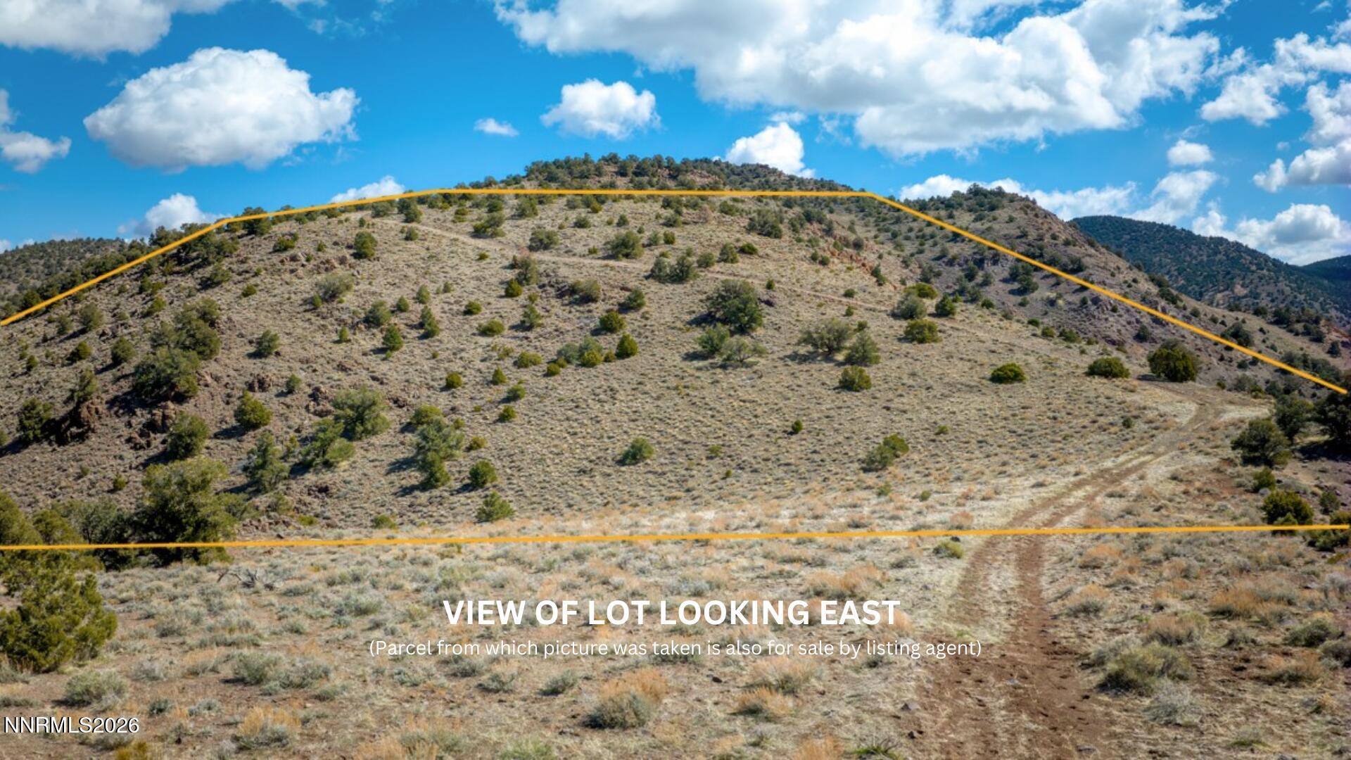 0 Geiger Grade Road, Unit 1675119) Reno, NV 89521 - Photo 2 of 9 a view of a dry yard