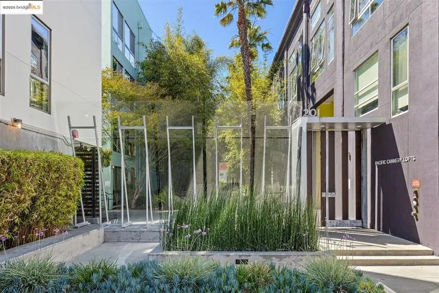 a view of a garden from a patio