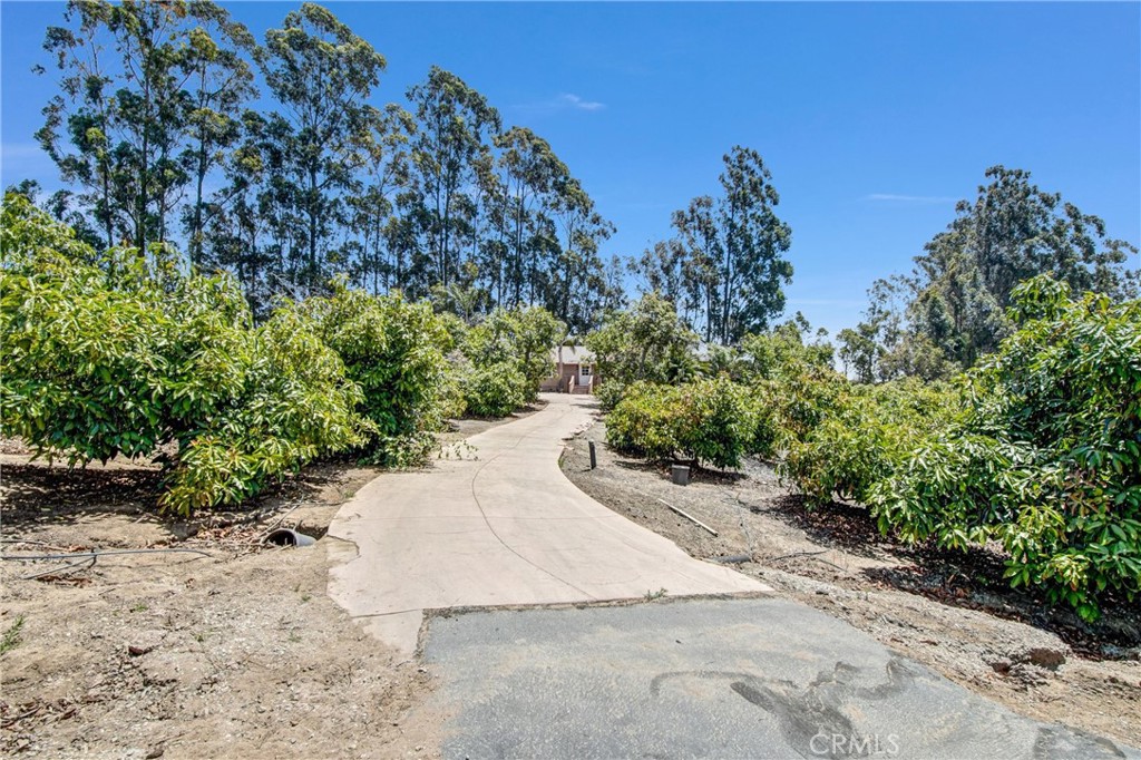 9003 Vista Anacapa Road Moorpark, CA 93021 - Photo 4 of 67