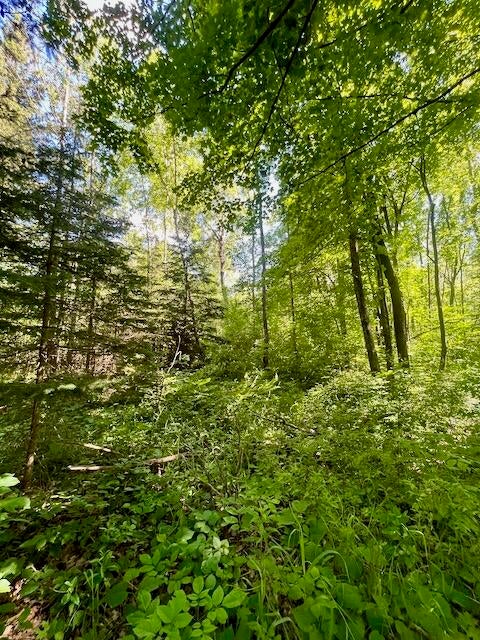 2608 Reber Road Fairview, MI 48621 - Photo 53 of 66 Gallery Image 53
