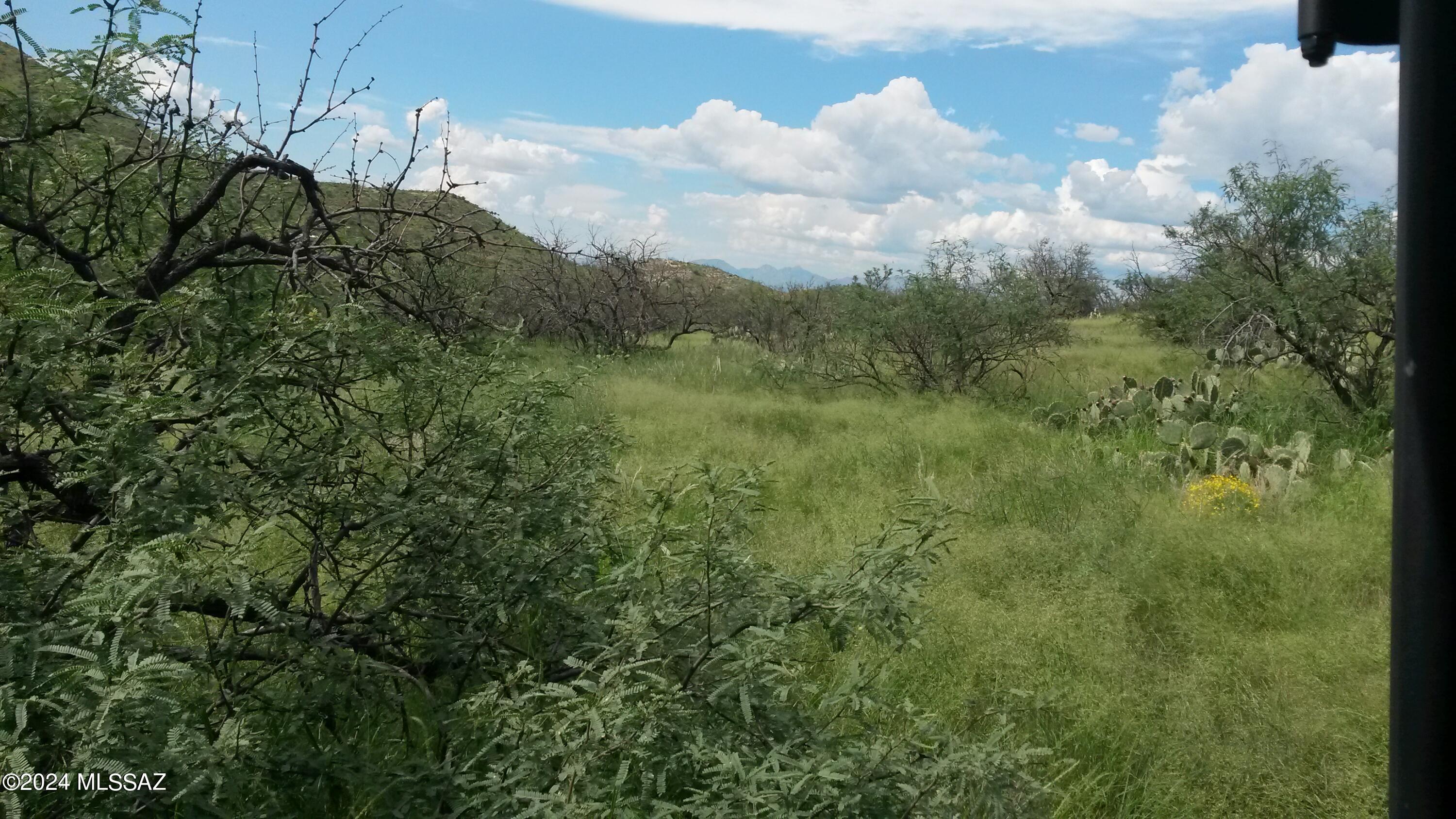 South Goodenough Trail, Unit 5 Vail, AZ 85641 - Photo 7 of 7