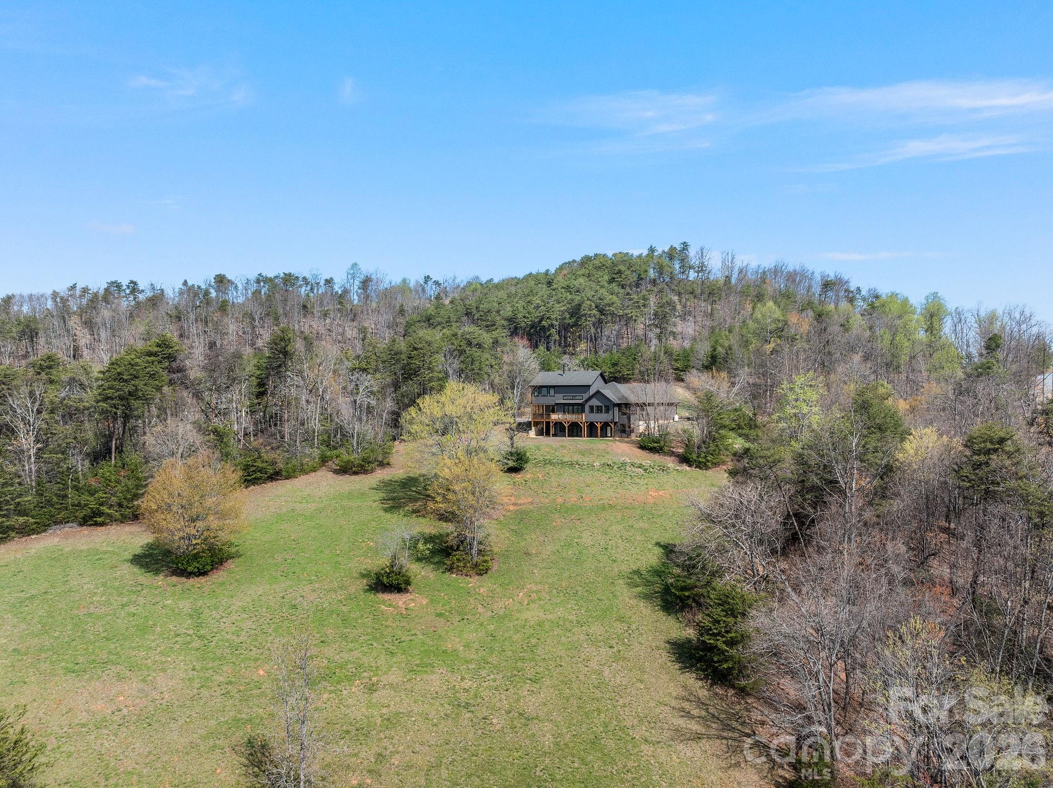 345 Preservation Trail Tryon, NC 28782 - Photo 46 of 48