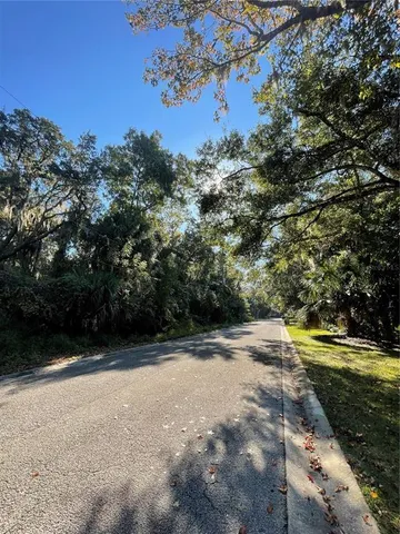 a view of a yard with a tree