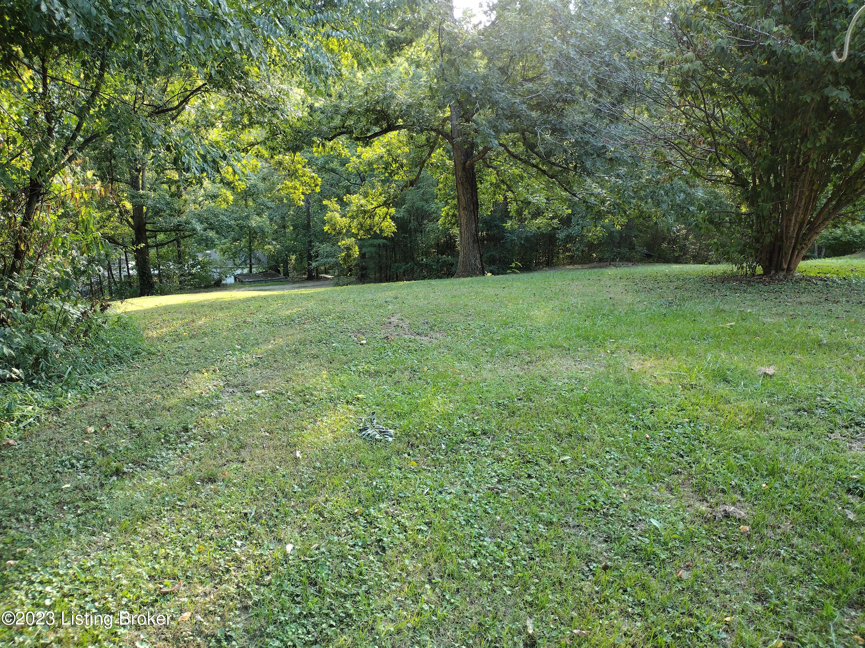333 Buckman Hollow Road Shepherdsville, KY 40165 - Photo 30 of 35 Front Yard