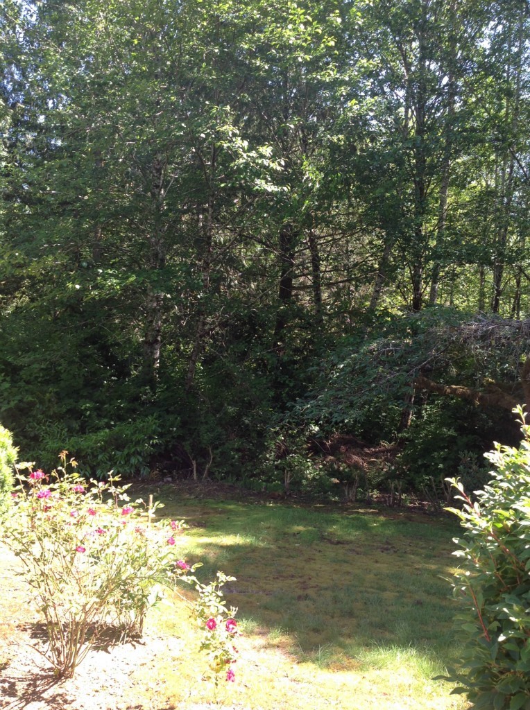 6615 Karjala Road Aberdeen, WA 98520 - Photo 16 of 24 Gallery Image 16
