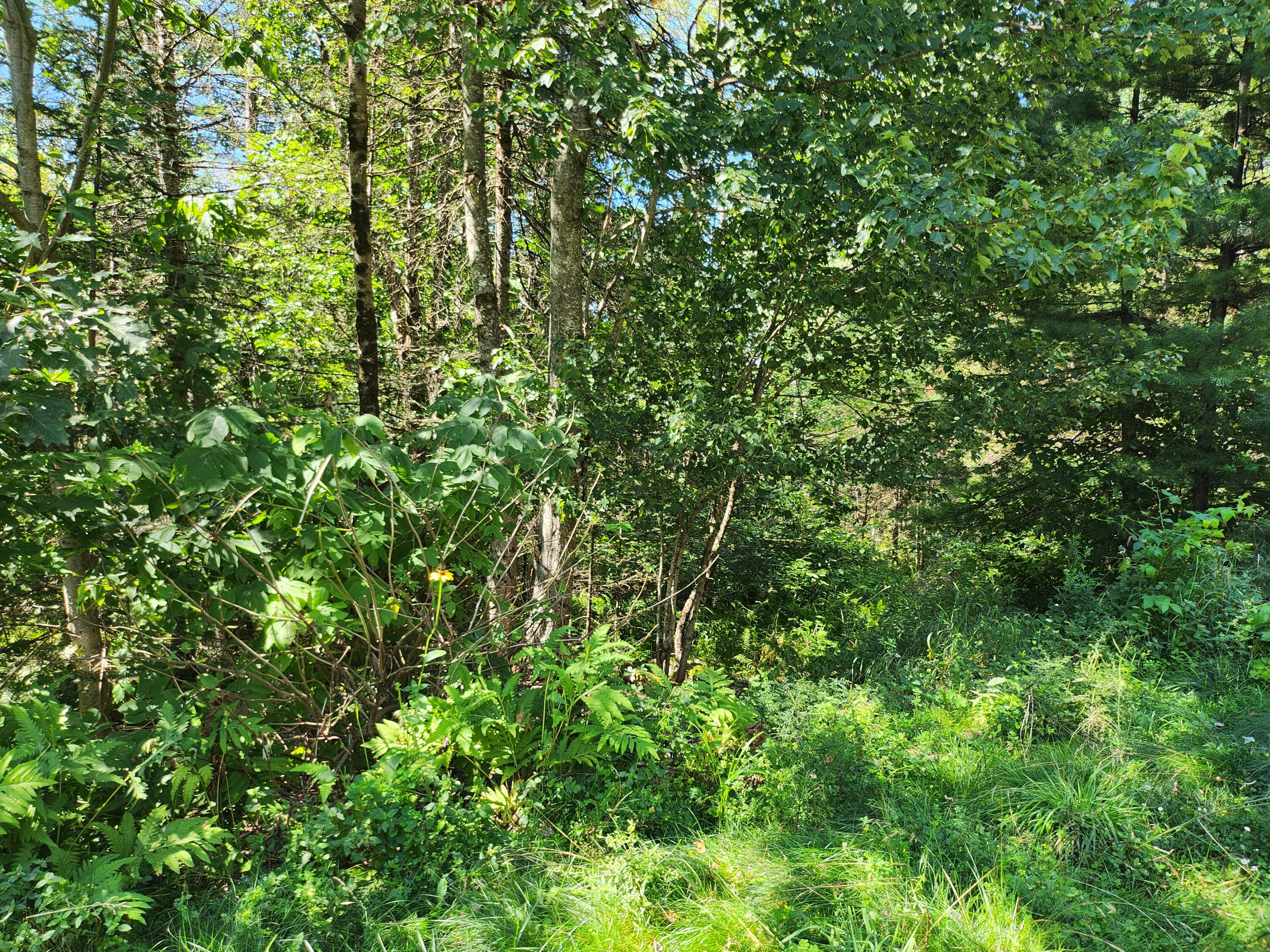 937 Athens Road Hartland, ME 04943 - Photo 22 of 23 20260821_111019