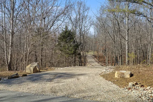 a view of outdoor space yard and tree