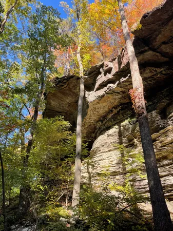 $1,857,000 | 1651 Lake Louisa Loop, Monteagle, TN 37356